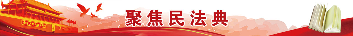 聚焦民法典
