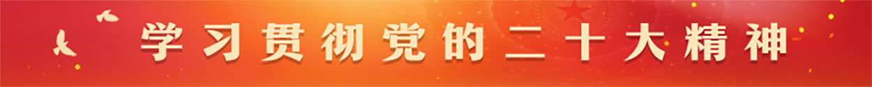 深入学习贯彻党的二十大精神
