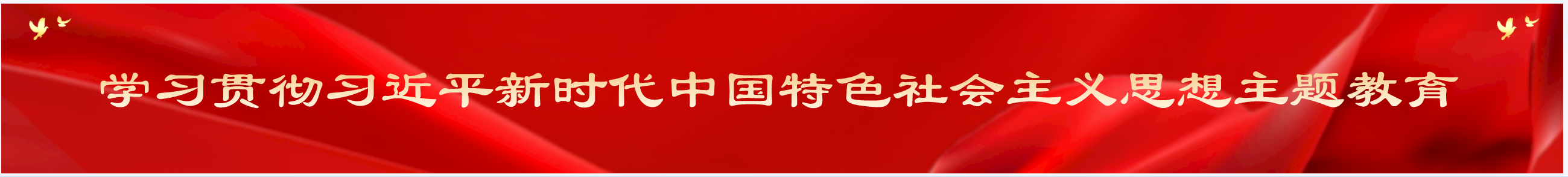 学习贯彻习近平新时代中国特色社会主义思想主题教育